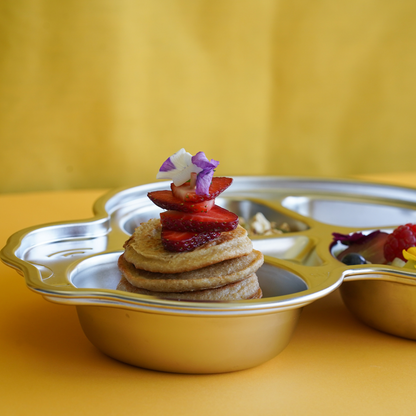 Stainless Steel Car Section Plate (20% off)