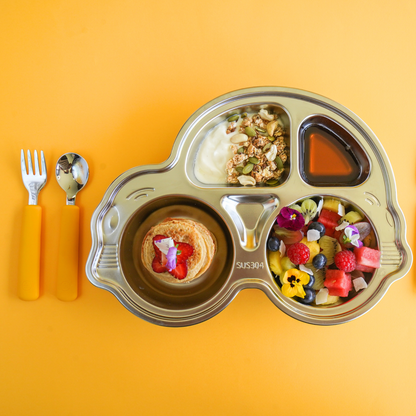 Stainless Steel Car Section Plate (20% off)